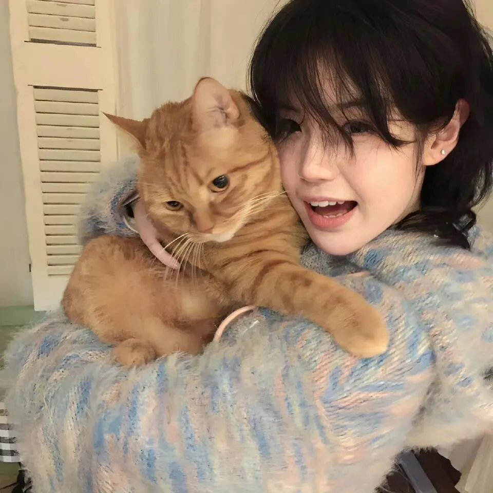 时人不识凌云木